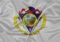 Bandeira Brasão de Água Boa