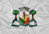 Bandeira Brasão de Águas Vermelhas