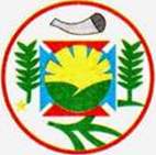 Bandeira Brasão de Aracitaba