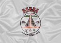 Bandeira Brasão de Arantina