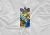 Bandeira Brasão de Araponga