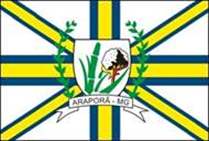 Bandeira Brasão de Araporã