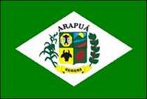 Bandeira Brasão de Arapuá