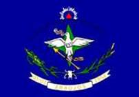 Bandeira Brasão de Araújos