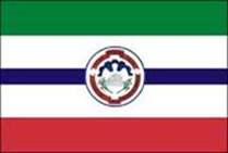 Bandeira Brasão de Arcos