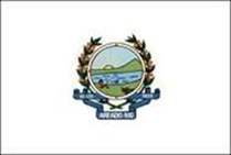 Bandeira Brasão de Areado