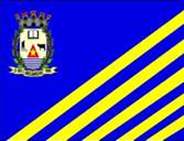 Bandeira Brasão de Aricanduva