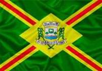 Bandeira Brasão de Arinos