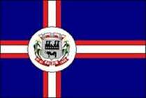 Bandeira Brasão de Baldim