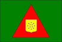 Bandeira Brasão de Bambuí
