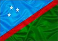 Bandeira Brasão de Biquinhas