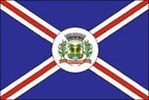 Bandeira Brasão de Bonito de Minas