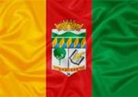 Bandeira Brasão de Braúnas