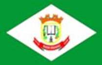 Bandeira Brasão de Bueno Brandão