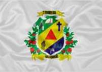 Bandeira Brasão de Bugre