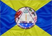 Bandeira Brasão de Buritis