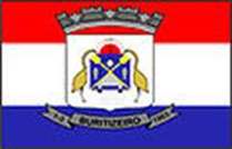 Bandeira Brasão de Buritizeiro