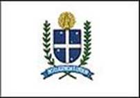 Bandeira Brasão de Caetanópolis