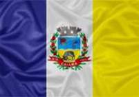 Bandeira Brasão de Caiana