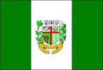 Bandeira Brasão de Cajuri