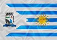 Bandeira Brasão de Cambuquira