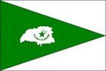 Bandeira Brasão de Campo Florido