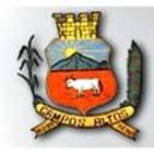 Bandeira Brasão de Campos Altos