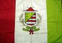 Bandeira Brasão de Capinópolis