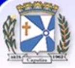 Bandeira Brasão de Caputira