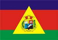 Bandeira Brasão de Caratinga