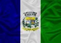 Bandeira Brasão de Carmo da Mata