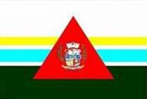 Bandeira Brasão de Carneirinho