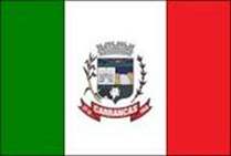 Bandeira Brasão de Carrancas