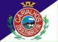 Bandeira Brasão de Carvalhos