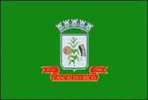 Bandeira Brasão de Cascalho Rico