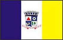 Bandeira Brasão de Central de Minas