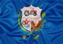 Bandeira Brasão de Centralina