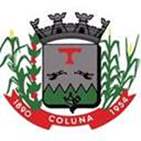Bandeira Brasão de Coluna