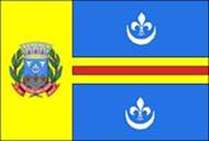 Bandeira Brasão de Conceição do Mato Dentro