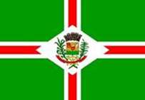 Bandeira Brasão de Conselheiro Lafaiete