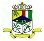 Bandeira Brasão de Coroaci