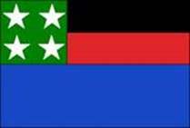 Bandeira Brasão de Coronel Pacheco