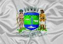 Bandeira Brasão de Delfim Moreira