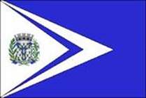 Bandeira Brasão de Delfinópolis