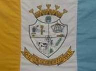 Bandeira Brasão de Descoberto