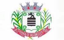 Bandeira Brasão de Diogo de Vasconcelos