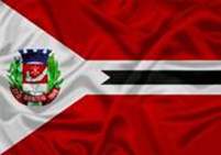 Bandeira Brasão de Dionísio