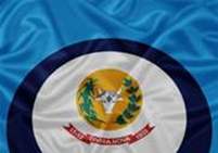 Bandeira Brasão de Divisa Nova