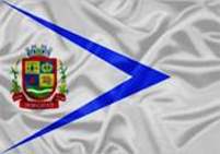 Bandeira Brasão de Dom Cavati