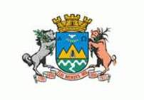 Bandeira Brasão de Elói Mendes